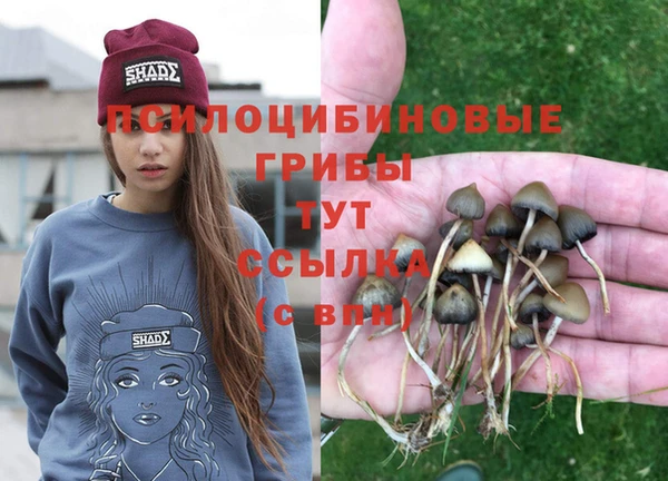 бутират Лихославль