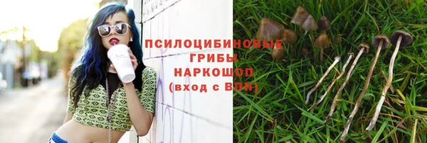 jwh Лиски