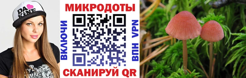Купить  Строитель  Галлюциногенные грибы Cubensis 
